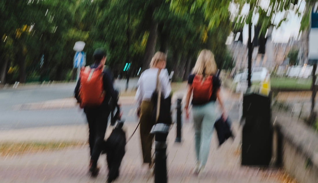 How British are these Backpack Brands? - Wildish