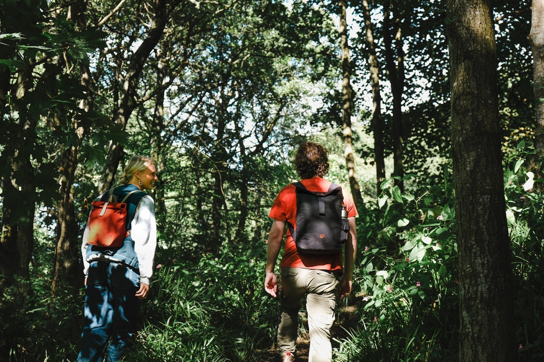 Pateley Bridge Nature Sounds Wander - Wildish