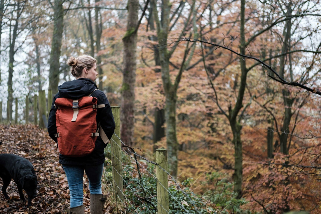 A bit of nature a day can keep the doctor away. - Wildish